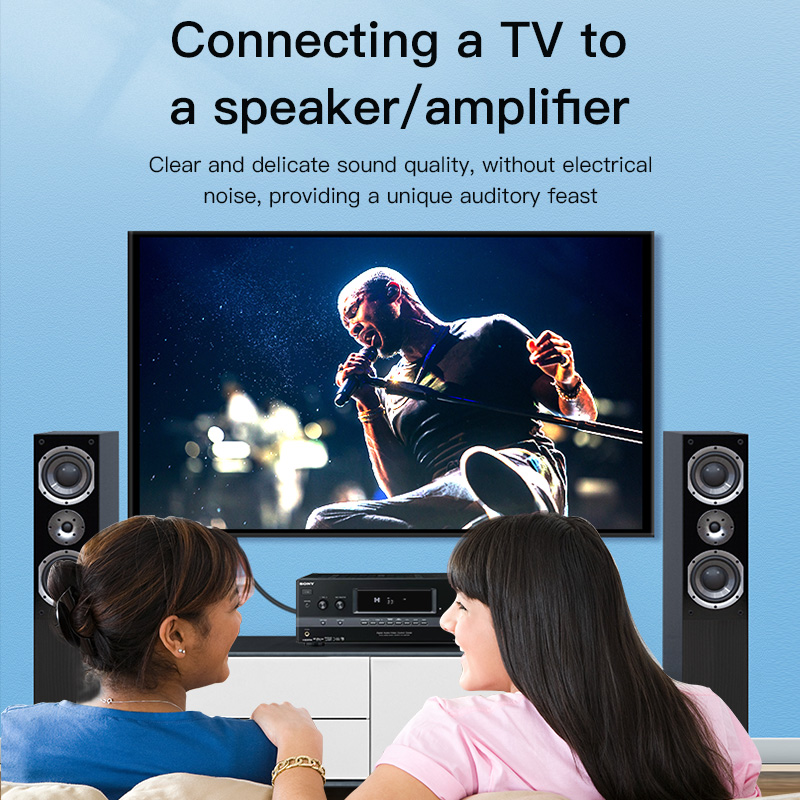 CHOSEAL RCA Cable Digital Coax - Home Cinema Hall recension och pris